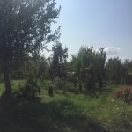 Satılır Torpaq Ağdaş 5