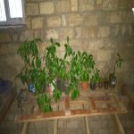 Satılır 4 otaqlı Həyət evi/villa, Binə qəs., Xəzər rayonu 2
