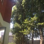 Kirayə (günlük) 4 otaqlı Həyət evi/villa Lənkəran 21