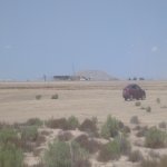 Satılır Torpaq, Ələt qəs., Sahil bağı, Qaradağ rayonu 9