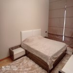 Satılır 12 otaqlı Həyət evi/villa Şamaxı 10