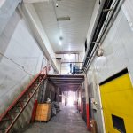 Kirayə (aylıq) Obyekt, Abşeron rayonu 5