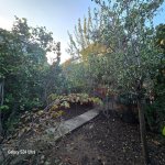 Satılır 5 otaqlı Həyət evi/villa, Koroğlu metrosu, Zabrat qəs., Sabunçu rayonu 17