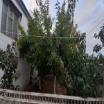 Kirayə (aylıq) 5 otaqlı Həyət evi/villa, Qaraçuxur qəs., Suraxanı rayonu 7