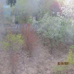 Satılır 8 otaqlı Həyət evi/villa, Bakıxanov qəs., Sabunçu rayonu 15