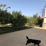 Kirayə (aylıq) 5 otaqlı Həyət evi/villa, 9-cu mikrorayon, Binəqədi rayonu 31
