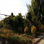 Satılır 4 otaqlı Bağ evi, Fatmayi, Abşeron rayonu 4