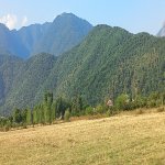 Продажа Участок Гябяля 5