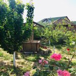 Kirayə (aylıq) 2 otaqlı Bağ evi, Novxanı, Abşeron rayonu 8