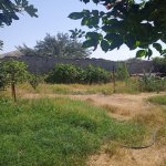 Продажа Участок, пос. Маштага, Сабунчу район 2