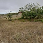 Satılır Torpaq, Kürdəxanı qəs., Sabunçu rayonu 4