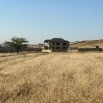 Satılır Torpaq, Masazır, Abşeron rayonu 4