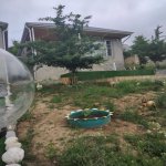 Kirayə (günlük) 3 otaqlı Bağ evi Quba 5
