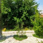 Kirayə (günlük) 2 otaqlı Bağ evi, Xəzər rayonu 8