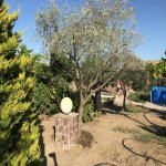 Satılır 6 otaqlı Bağ evi, Xəzər rayonu 5