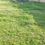 Satılır Torpaq, Binə qəs., Xəzər rayonu 3