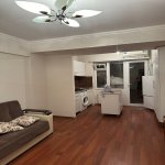 Kirayə (aylıq) 1 otaqlı Köhnə Tikili, Gənclik metrosu, Heydər Əliyev Mərkəzi, Nərimanov rayonu 3