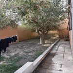 Satılır 3 otaqlı Həyət evi/villa, Koroğlu metrosu, Zabrat qəs., Sabunçu rayonu 24