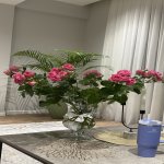 Kirayə (aylıq) 4 otaqlı Yeni Tikili, Ulduz metrosu, Montin qəs., Şəfa stadionu, Nərimanov rayonu 7