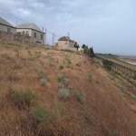 Satılır Torpaq, Saray, Abşeron rayonu 15