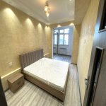 Kirayə (aylıq) 2 otaqlı Köhnə Tikili, Gənclik metrosu, Nərimanov rayonu 5