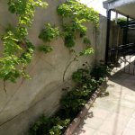 Satılır 3 otaqlı Həyət evi/villa, Binəqədi qəs., Binəqədi rayonu 5