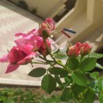 Satılır 6 otaqlı Həyət evi/villa, Köhnə Günəşli qəs., Xətai rayonu 2