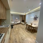 Аренда 2 комнатная Новостройка, м. 28 Мая метро, Кубинка, Зимний парк, Насими район 3