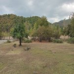 Satılır Torpaq Qəbələ 4
