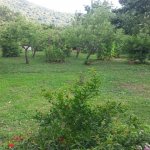 Kirayə (günlük) 3 otaqlı Həyət evi/villa Qax 6