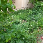 Satılır 7 otaqlı Həyət evi/villa, Badamdar qəs., Səbail rayonu 17