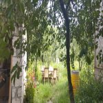 Посуточно 3 комнат Дача Гусар 18