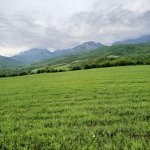 Satılır Torpaq İsmayıllı 5