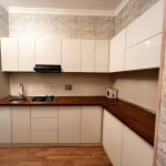Kirayə (aylıq) 2 otaqlı Yeni Tikili, 28 May metrosu, Nərimanov rayonu 9