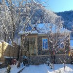 Kirayə (günlük) 4 otaqlı Həyət evi/villa Qəbələ 3