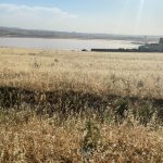 Satılır Torpaq, Masazır, Abşeron rayonu 2