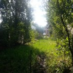 Kirayə (günlük) 3 otaqlı Bağ evi Quba 6