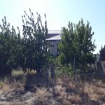 Satılır 8 otaqlı Bağ evi, Goradil, Abşeron rayonu 8
