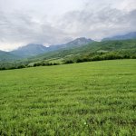 Продажа Участок Исмаиллы 5