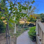 Satılır 6 otaqlı Bağ evi, Bilgəh qəs., Sabunçu rayonu 23