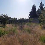 Satılır Torpaq, Novxanı, Abşeron rayonu 7