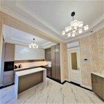 Kirayə (aylıq) 5 otaqlı Yeni Tikili, Nizami metrosu, Nəsimi rayonu 21