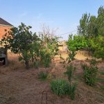 Satılır Torpaq, Ceyranbatan qəs., Abşeron rayonu 1