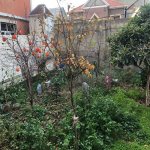 Satılır 7 otaqlı Həyət evi/villa, Avtovağzal metrosu, Binəqədi qəs., Binəqədi rayonu 29
