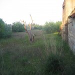 Satılır Torpaq, Maştağa qəs., Sabunçu rayonu 2