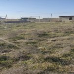 Satılır Torpaq, Yeni Ramana, Sabunçu rayonu 3