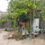 Аренда 1 комнатная Дача, пос. Пиршаги, Сабунчу район 9