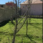 Satılır Torpaq, Hökməli, Abşeron rayonu 3