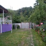 Kirayə (günlük) 2 otaqlı Bağ evi Qəbələ 5