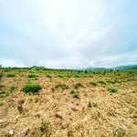 Satılır Torpaq Şamaxı 41